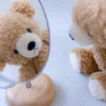 瀬戸利樹と北村匠海が似てる?岡田結実も?共通点は・・・