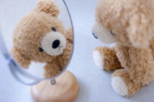 瀬戸利樹と北村匠海が似てる?岡田結実も?共通点は・・・