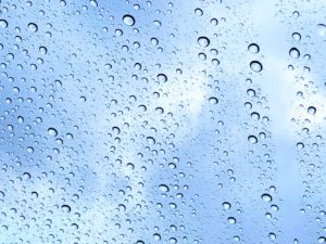 レディース有吉 浮気調査SP スマホでチェック!方法は?