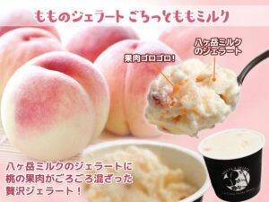 [王様のブランチ]2021年お取り寄せご当地アイスTOP5！お取り寄せ方法