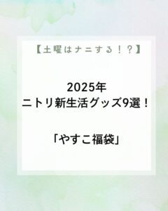 【土曜は何する】2025年ニトリ新生活グッズ9選!便利な「やすこ福袋」